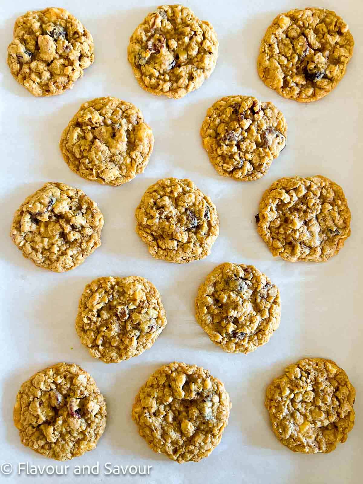 Cranberry oatmeal cookies on a baking sheet after baking.