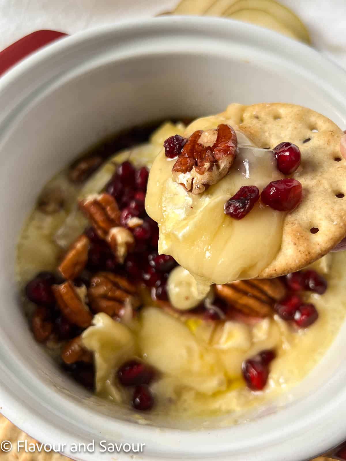 A cracker topped with baked Brie cheese with pomegranates, pecans and honey.