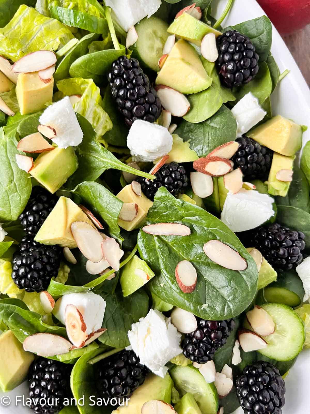 Fresh blackberries, goat cheese, cucumber slices and avocado cubes on a bed of spinach and romaine.
