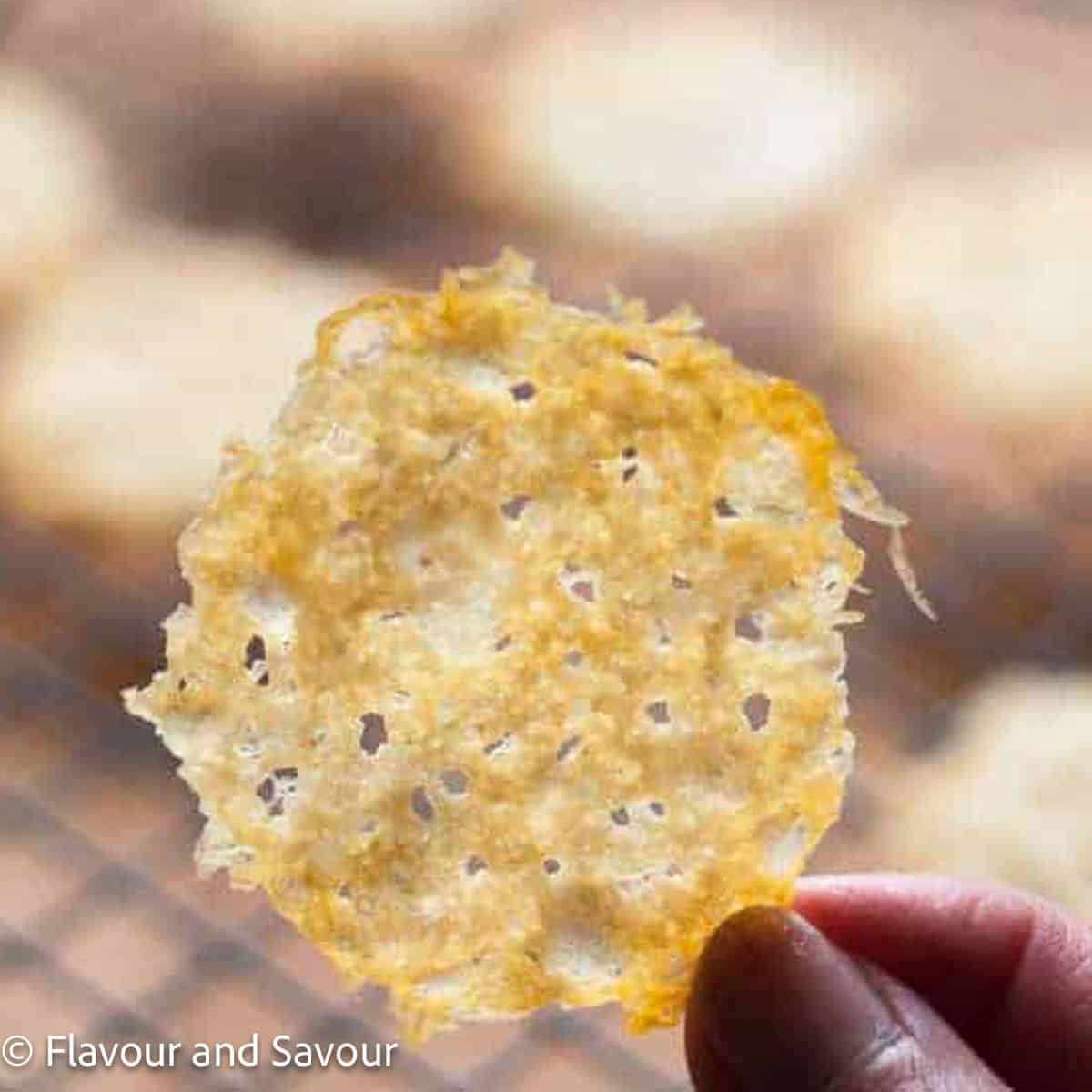 A hand holding a Parmesan Crisp.