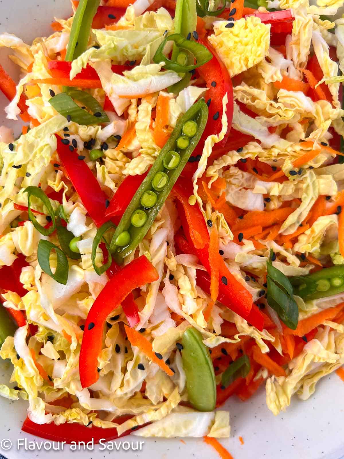 Coleslaw in a bowl garnished with black sesame seeds and thinly sliced green onions.